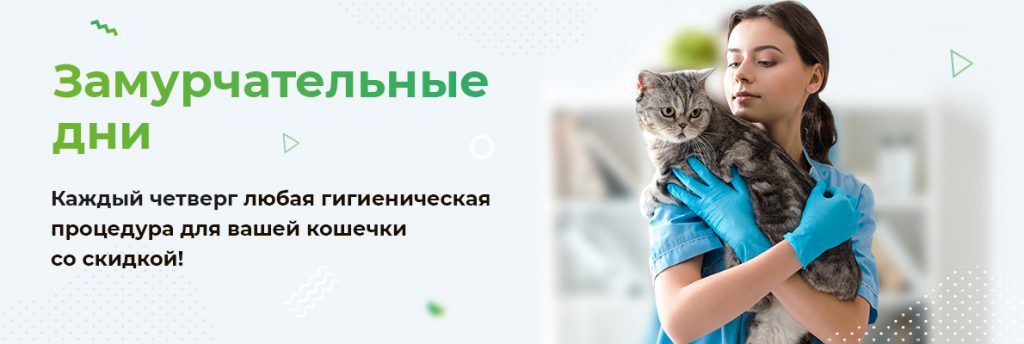 Менжинского 29 ветеринарная клиника телефон
