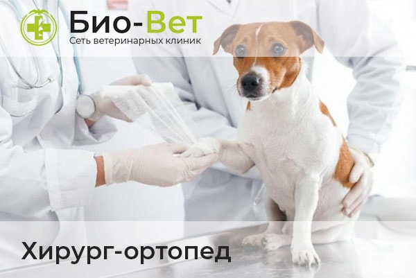 Ветеринары Хирурги-Ортопеды
