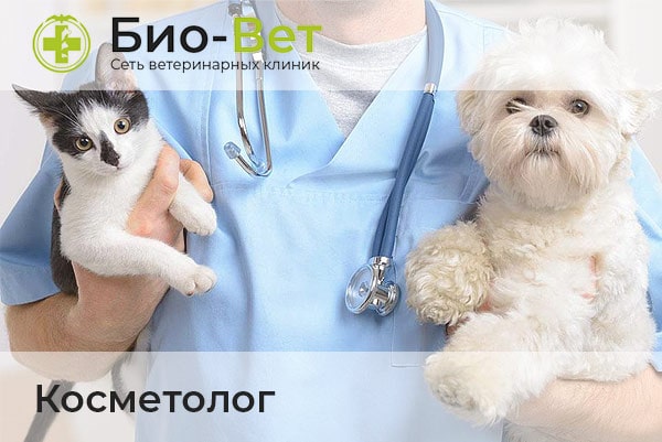 Ветеринары Косметологи